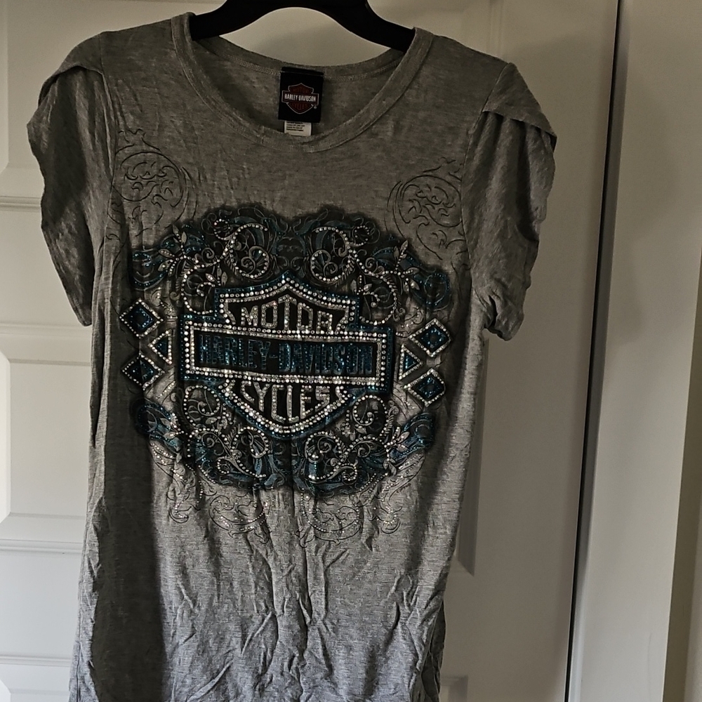 Harley-Davidson Gray Tee with Blue Graphic